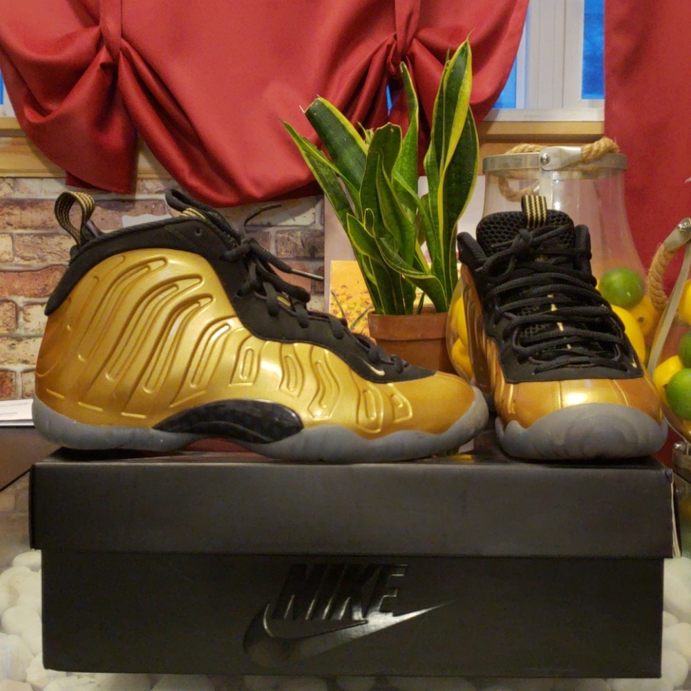 Authentic Nike Little Posite One